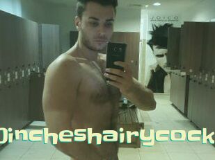 10incheshairycock