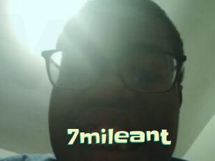 7mileant