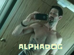 ALPHADOG