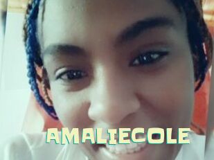AMALIECOLE Wanna Meet