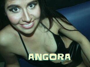 ANGORA