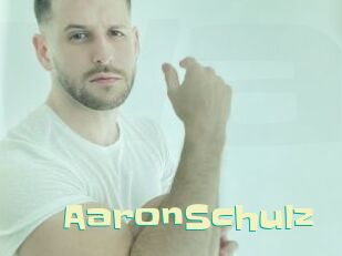 AaronSchulz