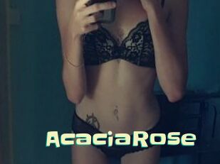 AcaciaRose