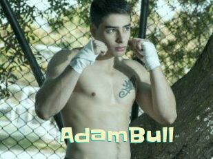 AdamBull Wanna Meet