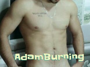 AdamBurning