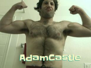 AdamCastle Wanna Meet
