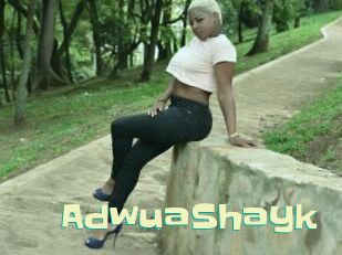 AdwuaShayk