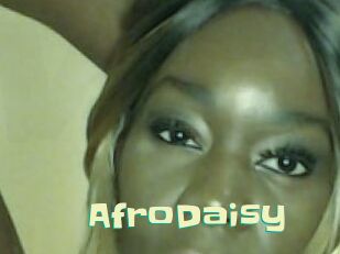 AfroDaisy