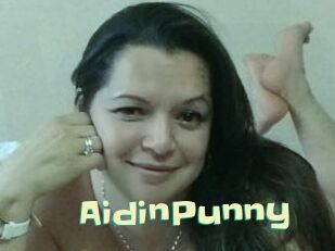 AidinPunny