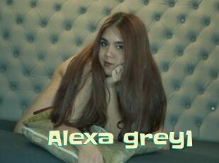 Alexa_grey1