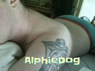 Alphie_Dog
