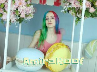 AmiraRoof