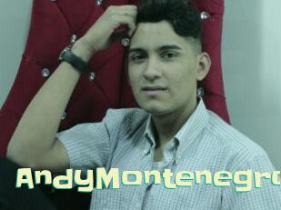 AndyMontenegro