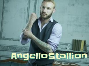 AngelloStallion