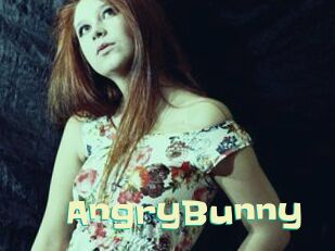 AngryBunny