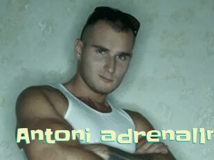 Antoni_adrenal1n