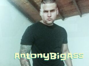 AntonyBigAss