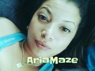 Aria_Maze