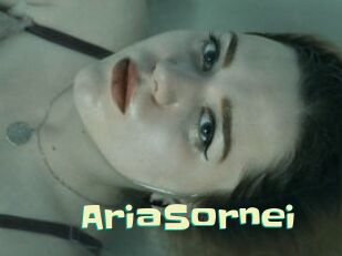 AriaSornei