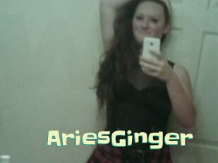 AriesGinger