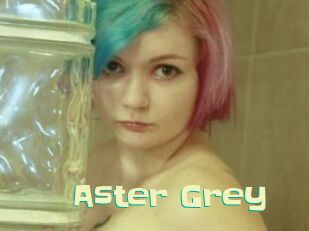 Aster_Grey
