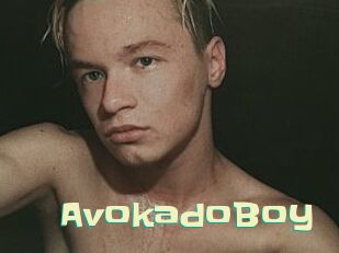 AvokadoBoy