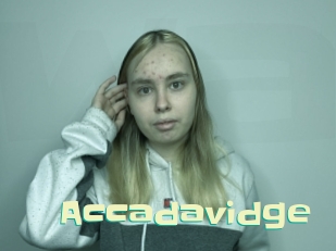accadavidge Wanna Meet