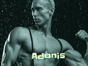 Adonis_