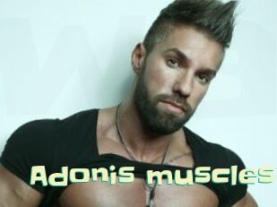 Adonis_muscles