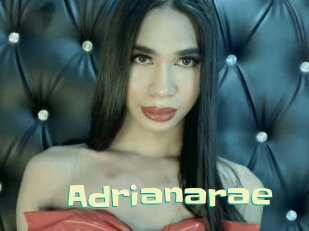 Adrianarae