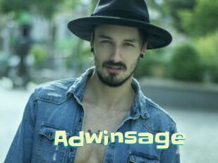 Adwinsage