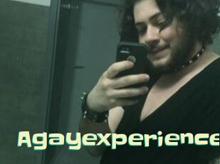agayexperience Wanna Meet