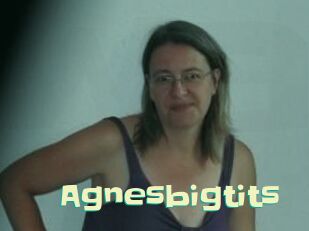 Agnesbigtits