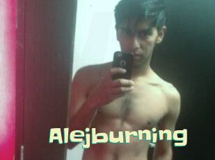 Alejburning