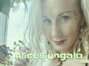 alicesjungalo Wanna Meet