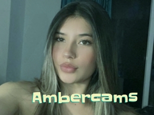 ambercams Wanna Meet