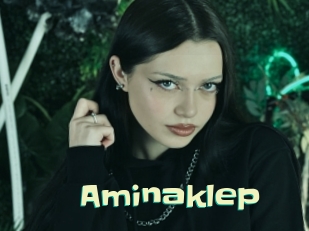 Aminaklep