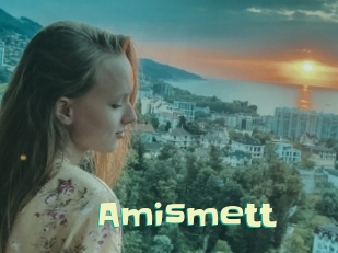 Amismett