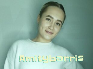 Amitybarris