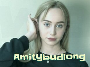 Amitybudlong