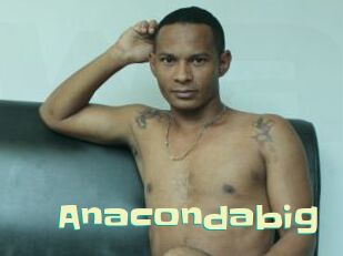 Anacondabig