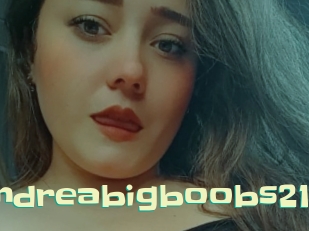 andreabigboobs21 Wanna Meet