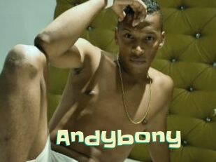 Andybony