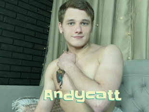 Andycatt
