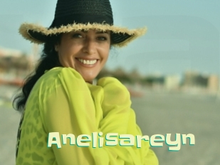 Anelisareyn