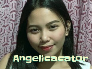 Angelicacator