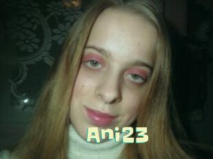 Ani23