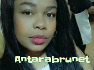 Antarabrunet