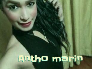 Antho_marin