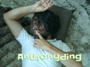 anthonyding Wanna Meet